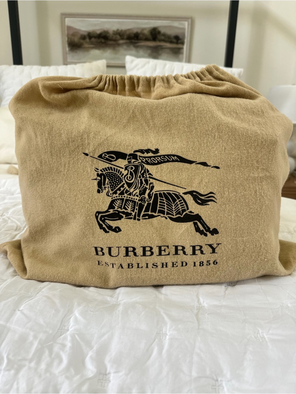 Burberry bag in dust cover